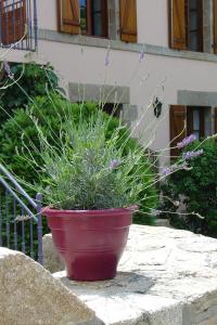 La Sabotiere