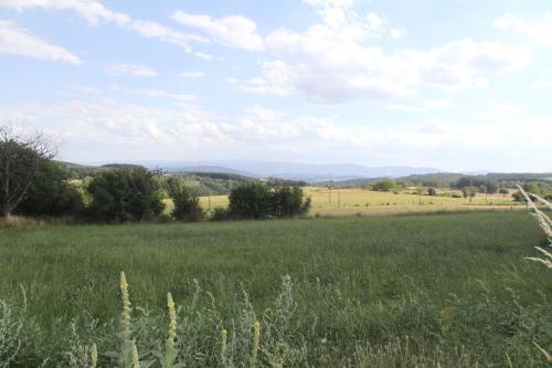ladavaminne