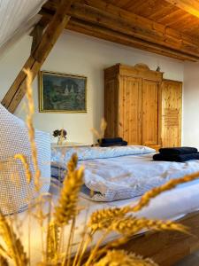 Maisons de vacances Landhaus einer Malerin Glutzow Siedlung 8 18574 Poseritz Mecklembourg-Poméranie