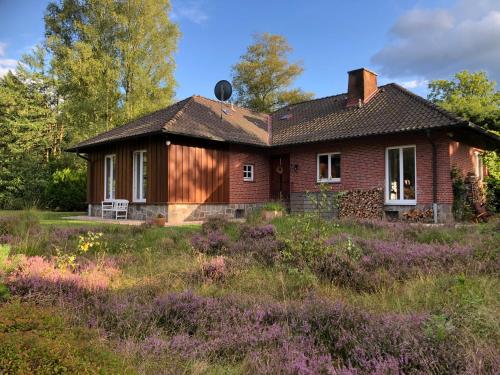 Landhaus mitten in der Lüneburger Heide
