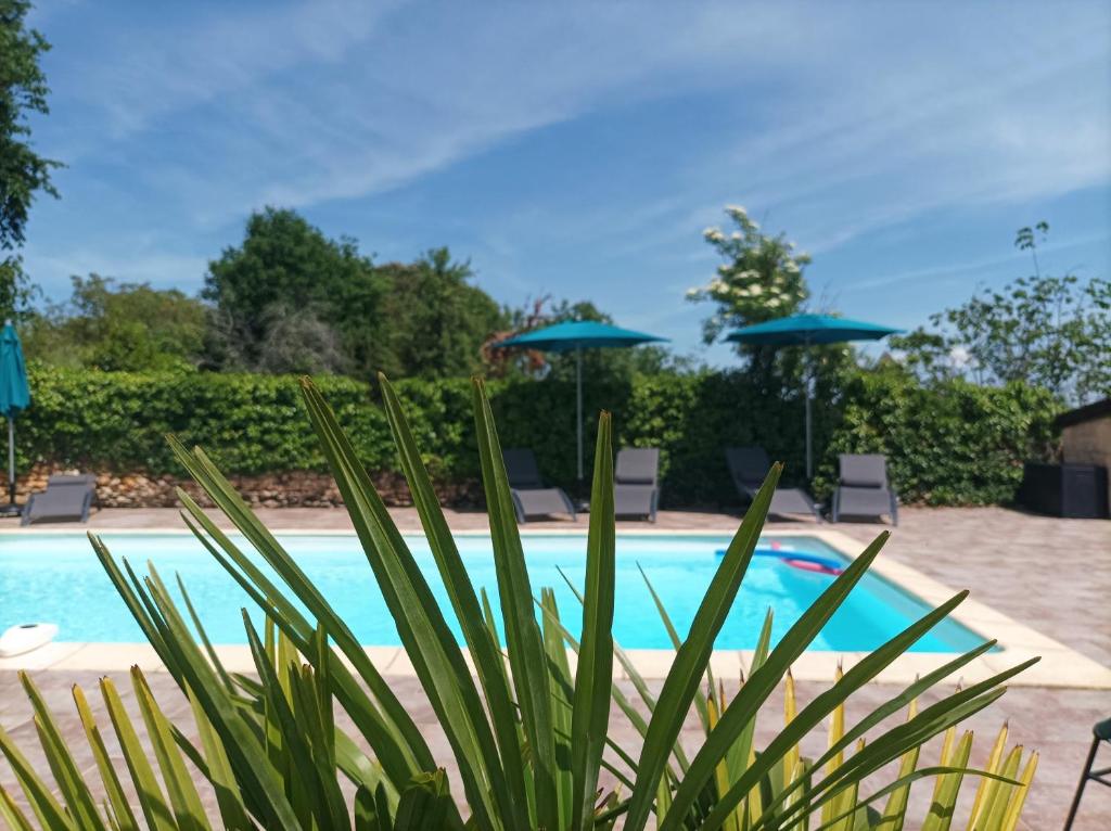 Maisons de vacances Le Clos de la Musardise - Gîtes de Charme avec Piscine Chauffée 1 Rue Tourny 24590 Salignac Eyvigues