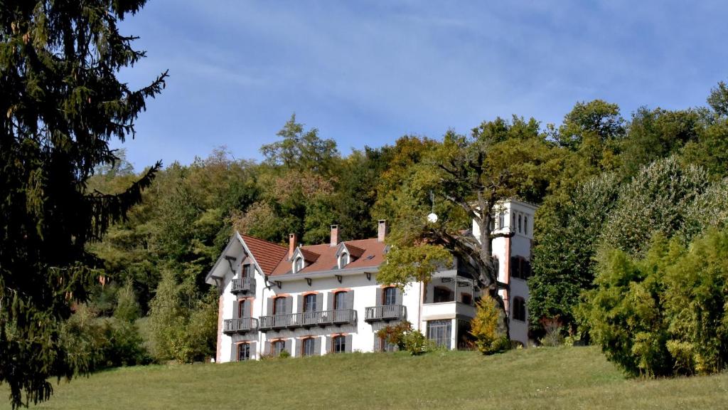 Le Domaine de Dony 146 Chemin de Dony, 38260 Balbins
