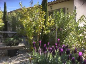 Maisons de vacances Le Jardin de Lau 183 A impasse de la chicane 84810 Aubignan Provence-Alpes-Côte d\'Azur