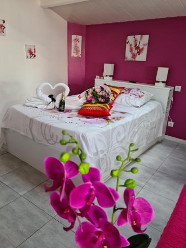 Le Pavachon 2 logements séparéments de 2 à 5 couchages, piscine familiale chauffée, 3 min du Puy du Fou Les Epesses