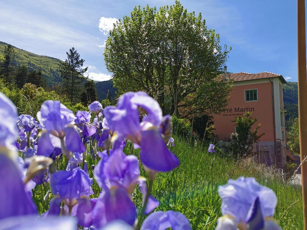 Le Pré Martin, Village de Chalets Route Pré Martin, 04240 Annot