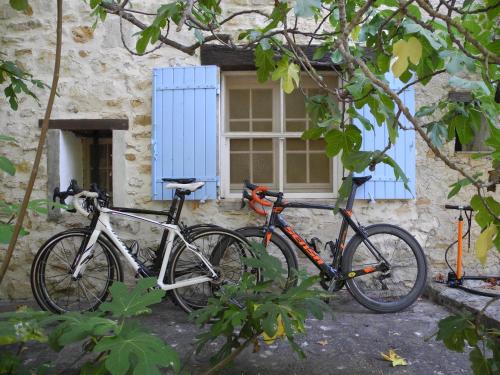 Le Rourebeau