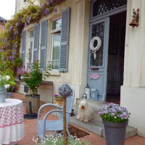 Maisons de vacances Les Alizes 21 Rue Florentin Lefils 80550 Le Crotoy Picardie