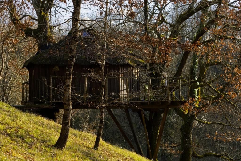 Maisons de vacances Les Cabanes de Brassac 245 Chemin de Cauge 82190 Brassac