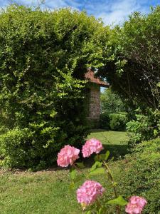 Les Cottages d'Orient
