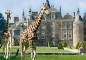 Les cottages du golf