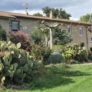 Maisons de vacances Les Figuets 257 chemin des Moïlles 26330 Châteauneuf-de-Galaure Rhône-Alpes