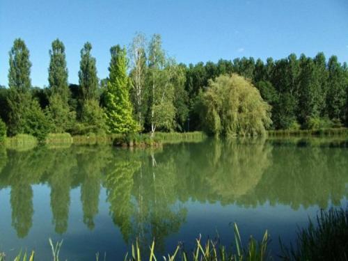 Les Gites de l'Etang de Sandanet