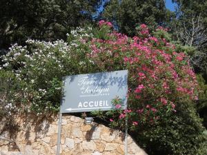 Les Terrasses de Scalegiu