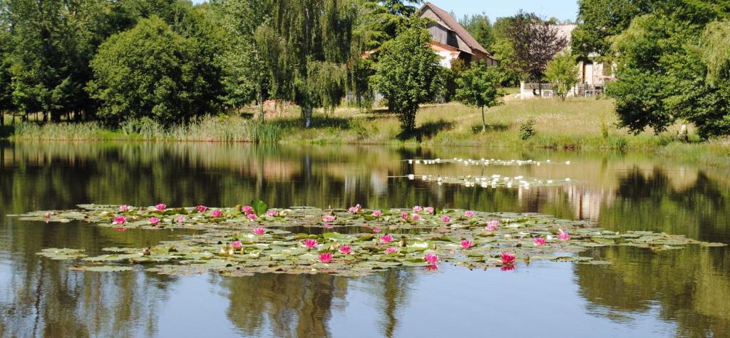 Maisons de vacances Liabaquet Gîtes Lieu dit Liabaquet 24270 Sarlande