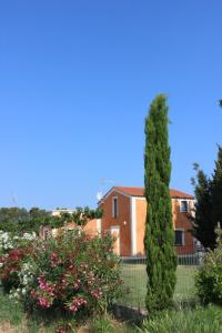 Maison Abricot et Orange