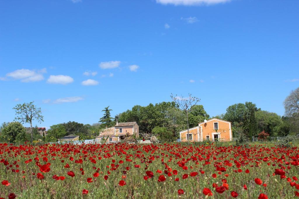 Maisons de vacances Maison Abricot et Orange Domaine Des Garrigues 34 34800 Aspiran