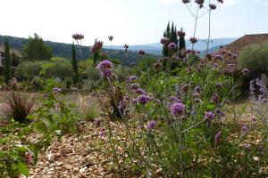 Maisons de vacances Maison Itzé 4 Chemin les Trois Fontaines 84490 Saint-Saturnin-lès-Apt Provence-Alpes-Côte d\'Azur