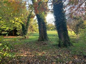 MAISON LA BURELIERE - holiday home for families, groups, couples