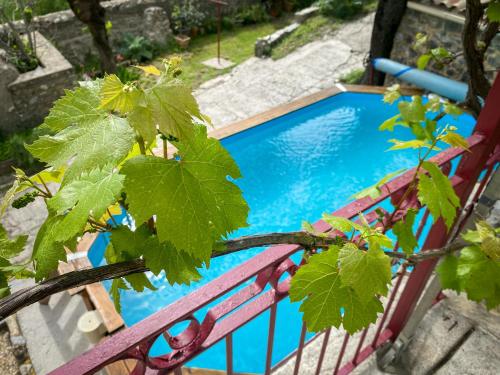 Mas Bourdaric - Location de Gites en Ardeche du Sud