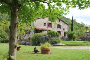 Maisons de vacances Mas Manyaques Mas Manyaques 66230 Le Tech Languedoc-Roussillon