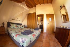 Mayla Surf House