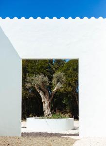 Monte da Fonte