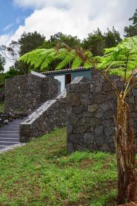 Maisons de vacances O Farrobo Rua do Farrobo 24 9950-055 Bandeiras Açores