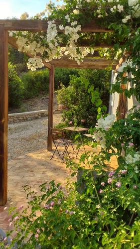 Oasis caché avec Piscine