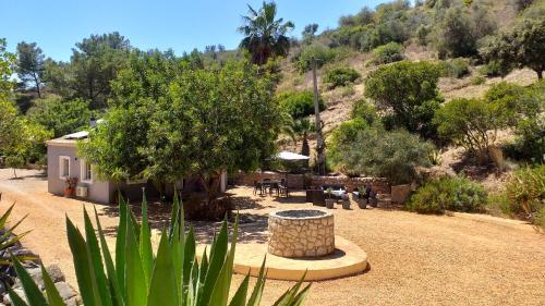 Oasis caché avec Piscine
