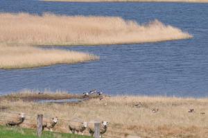Op Lundingland
