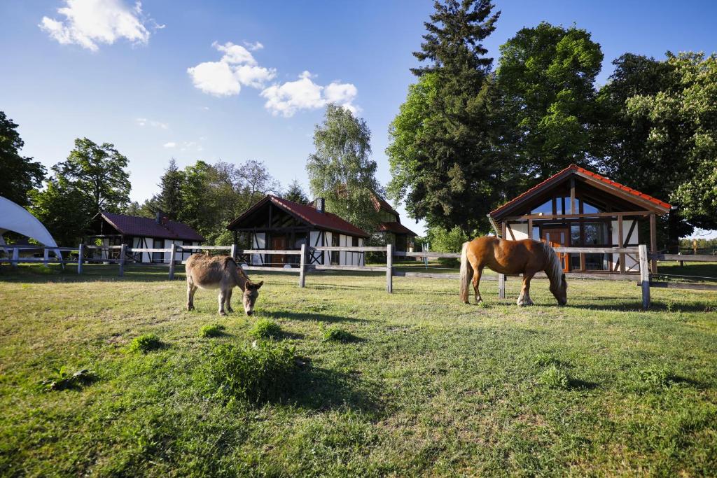 Maisons de vacances Pferdehof Schorfheide 14 Prenzlauer Straße 16244 Schorfheide