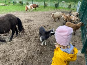 Poppes Ranch Bauerhof & Campingplätze