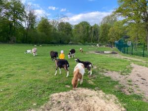 Poppes Ranch Bauerhof & Campingplätze