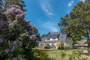 Premiumhaus Bodden und Mehr-Brise