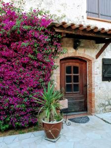 Provencal Farmhouse on the French Riviera