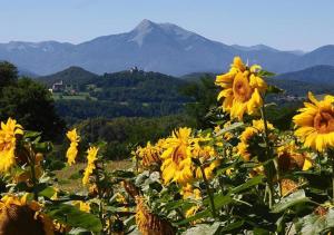 Maisons de vacances Pyrénées Passions - Gîtes de Charmes & Caractère Quartier Fond de la Vielle 31160 Estadens Midi-Pyrénées