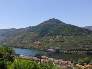 Quinta da Galeira