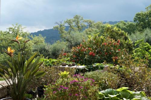 Quinta da Saimeira