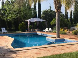 Quinta da Sao Joao - Villa Oliveira