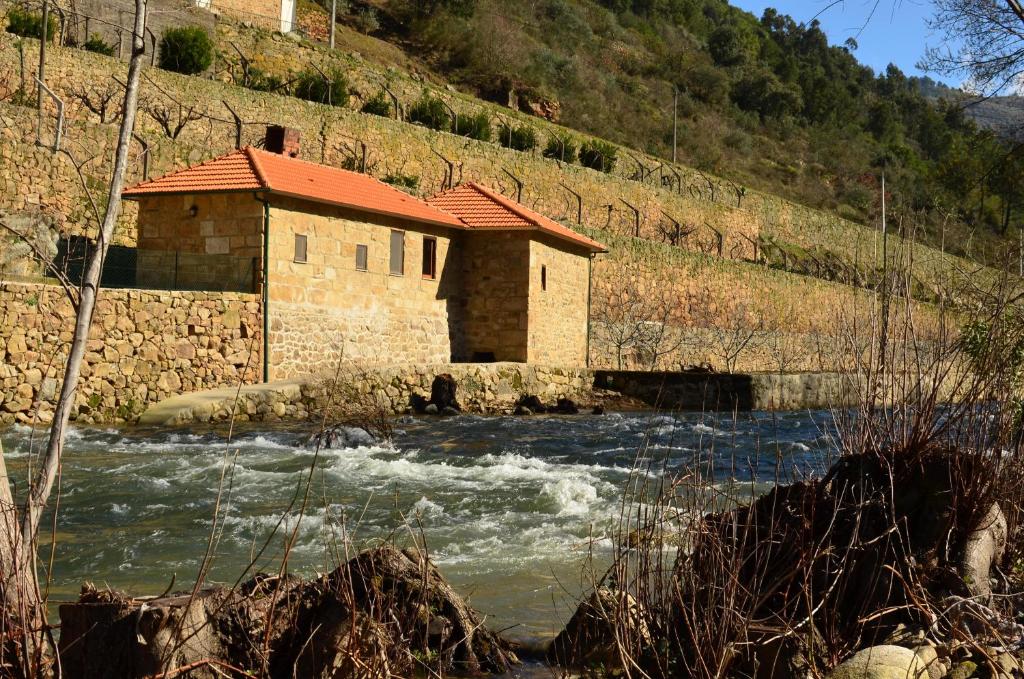 Maisons de vacances Quinta de Recião Figueira 5100-530 Lamego