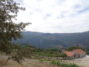 Maisons de vacances Quinta de S. Cipriano Rua de S. Cipriano 4660-301 Resende Région Nord