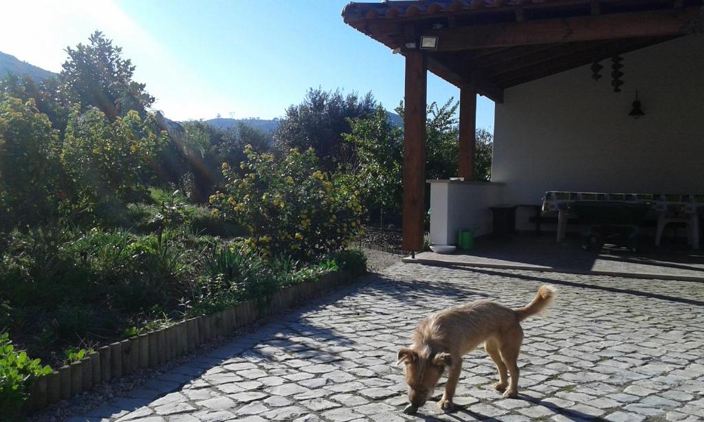 Maisons de vacances Quinta de São João Rua Nossa Senhora da Estrela, nº 40 3105-314 Poios