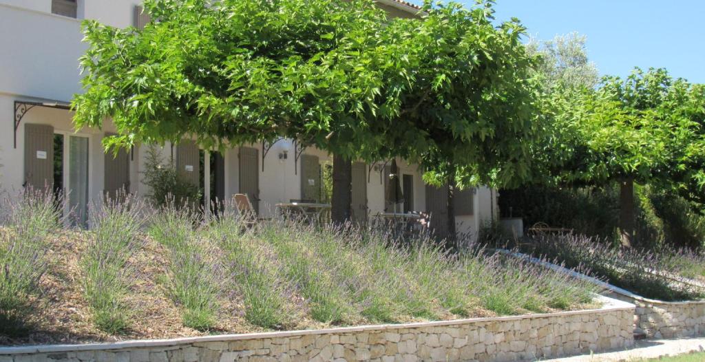 Maisons de vacances Résidence de gîtes La Sidoine du Mont-Ventoux 1374, chemin de la Madeleine 84410 Crillon-le-Brave