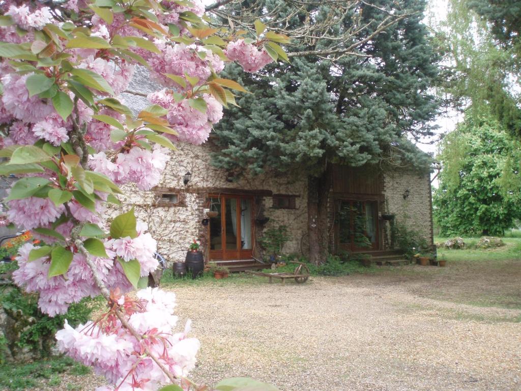 Maisons de vacances Rose La Huttiere -  Pays de le Loire - France 49490 Chigné