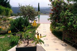 Salgadinho Casa de Campo & Selao da Eira Velha