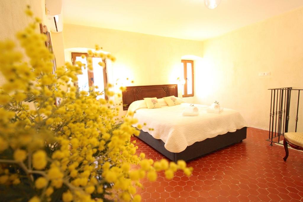 Sarl Aurore-Vacances 20160 Vico