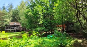 Spalazen Nature