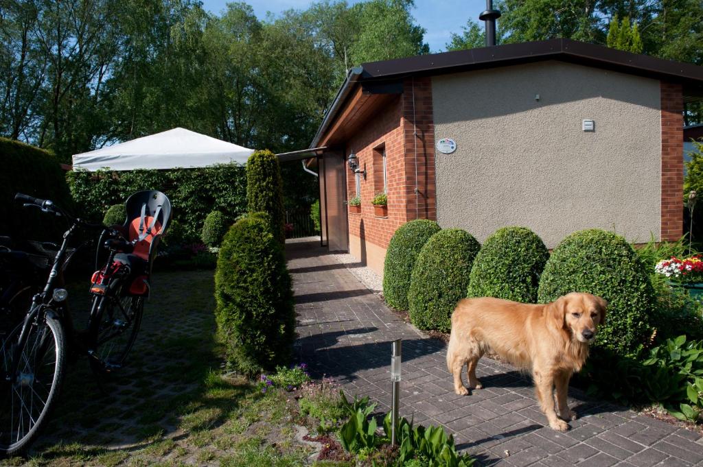 Spreewaldhäuser am See Neuendorfer Straße 5 a Bungalowsiedlung Rasnita 1, 15913 Alt Schadow
