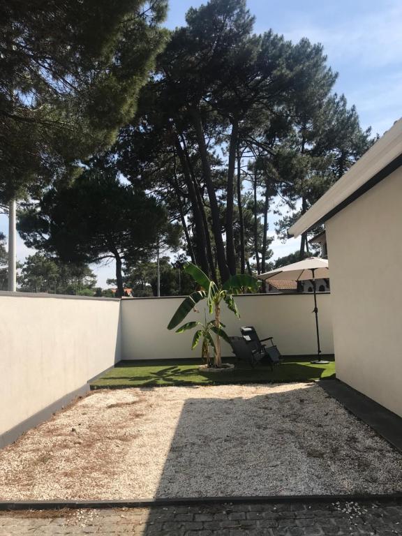 Maisons de vacances Studio indépendant sur propriété avec piscine partagée 513 Avenue du Pyla 40600 Biscarrosse