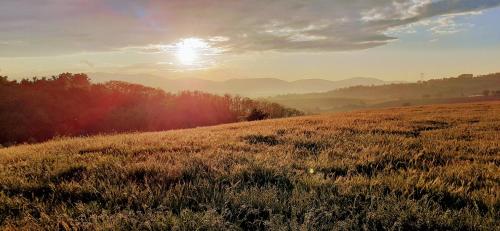 Une pause sur la colline